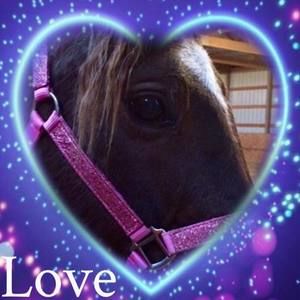 Meet your Posher, Heidi